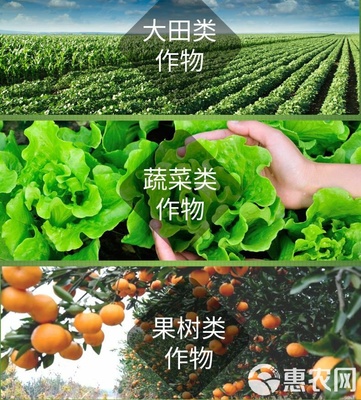 海藻肥“安豐樂(lè)-海藻素” 強(qiáng)力促生根壯苗、防病害與合成技術(shù)研發(fā)