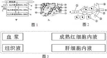 孟德爾遺傳規律為何不適用于細菌等單細胞生物？